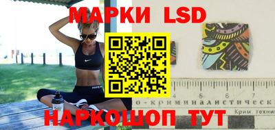 apvp Свободный