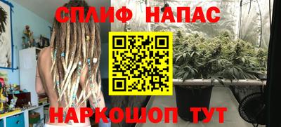 винт Славгород